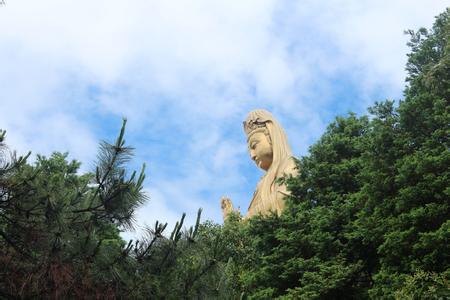 海天佛國(guó)普陀山、普濟(jì)寺、南海觀音 三天雙飛朝圣之旅PT-01